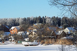 село тишково московская область