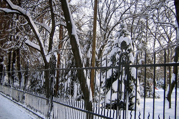 городской сад липки зимой