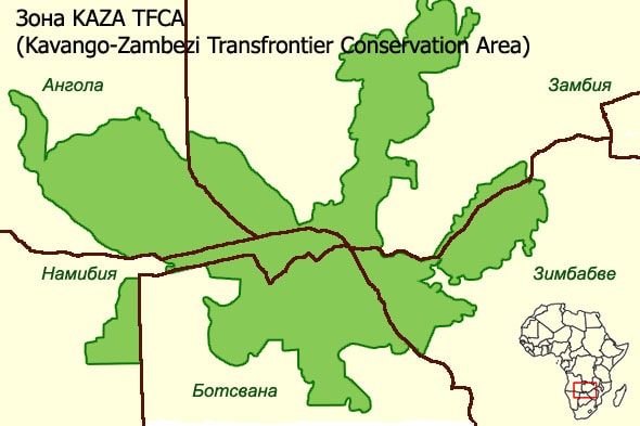 каванго замбези общая заповедная зона пяти стран