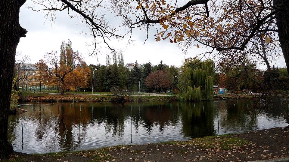 пруд городской парк саратов