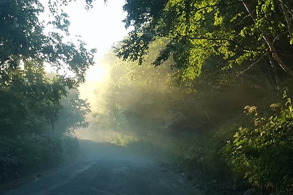 камчатский край дорога на халатырский пляж