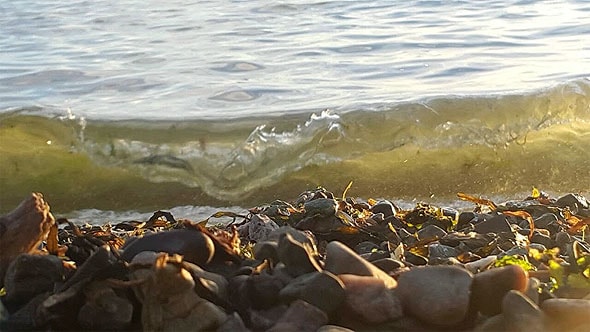 морская волна в авачинской бухте