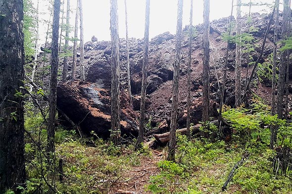 громадная черно коричневая насыпь