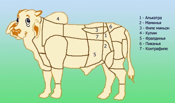 разделения говяжьей туши на специальные отрубы
