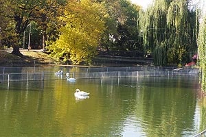 тайны городского парка саратова